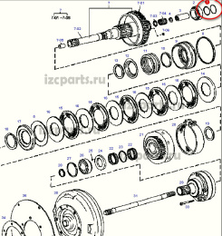 картинка Кольцо компрессионное акпп  d=55.2 от магазина IZC